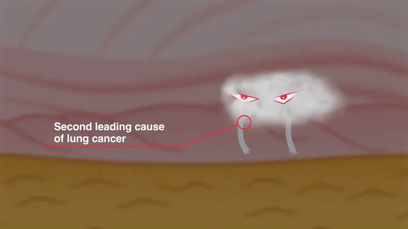 Arizona Department of Health Services: The radon cloud, Second leading cause of lung cancer